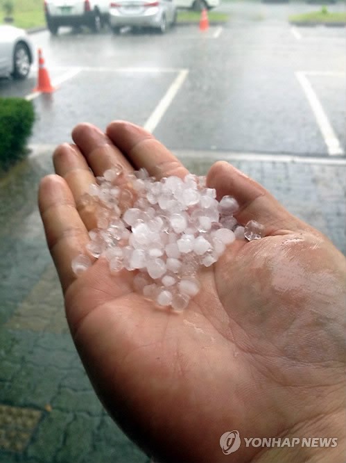 韓國(guó)大田突降暴雨 全州益山冰雹如豆（組圖）