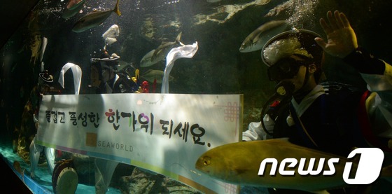 喜迎中秋 水中民俗秀將亮相63大廈水族館