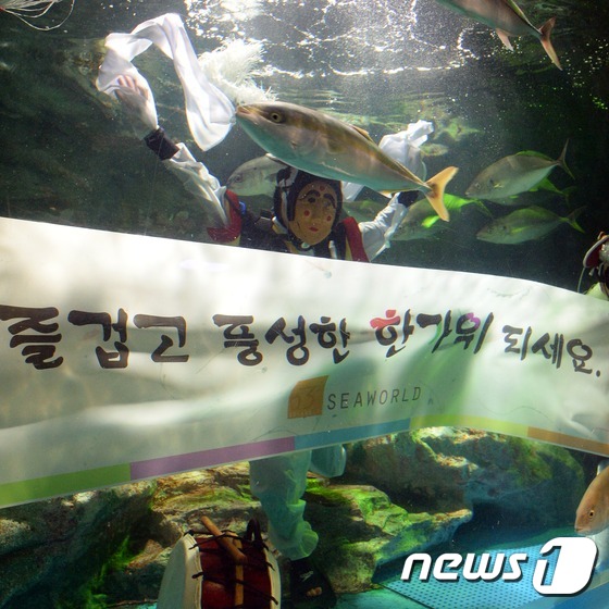 喜迎中秋 水中民俗秀將亮相63大廈水族館