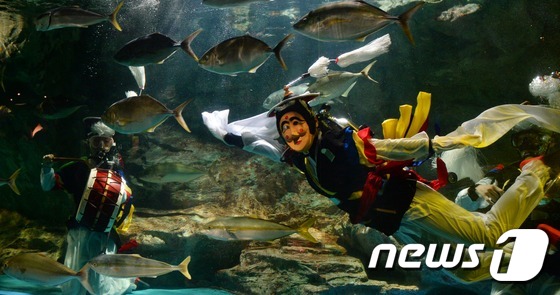 喜迎中秋 水中民俗秀將亮相63大廈水族館