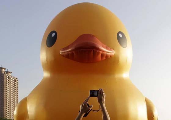 “2014年大黃鴨世界巡游”到首爾（組圖）