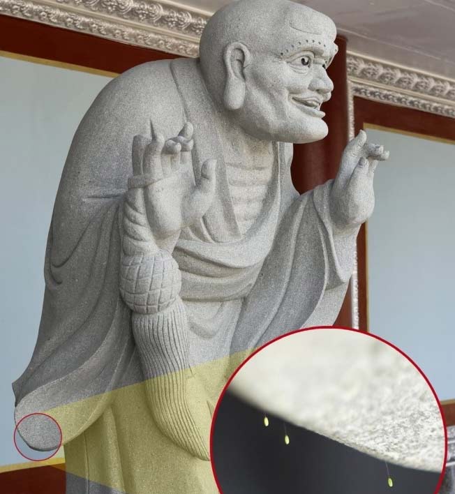 韓國一大學(xué)驚現(xiàn)“神花” 相傳3000年一見(圖)