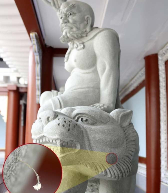 韓國(guó)一大學(xué)校園驚現(xiàn)百余朵“神花” 相傳3000年一見(jiàn)(網(wǎng)頁(yè)截圖)