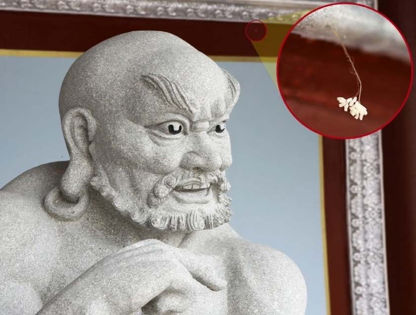 韓國一大學驚現(xiàn)“神花” 相傳3000年一見(圖)