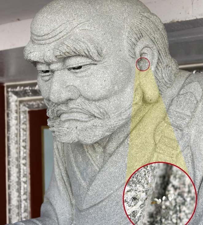 韓國一大學(xué)驚現(xiàn)“神花” 相傳3000年一見(圖)