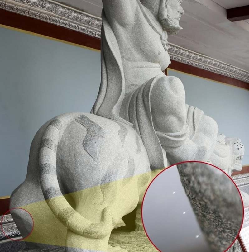 韓國一大學(xué)驚現(xiàn)“神花” 相傳3000年一見(圖)