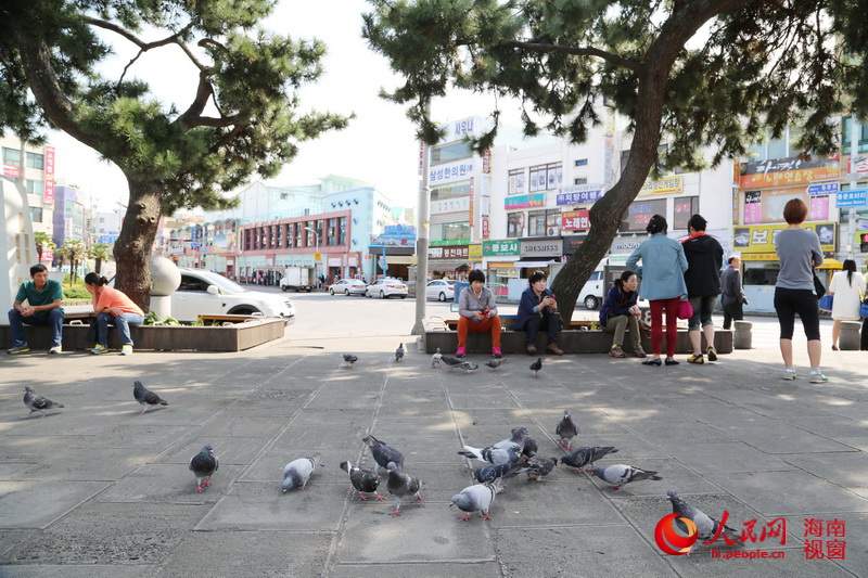 濟州島街景：這里沒有高樓大廈（高清組圖）