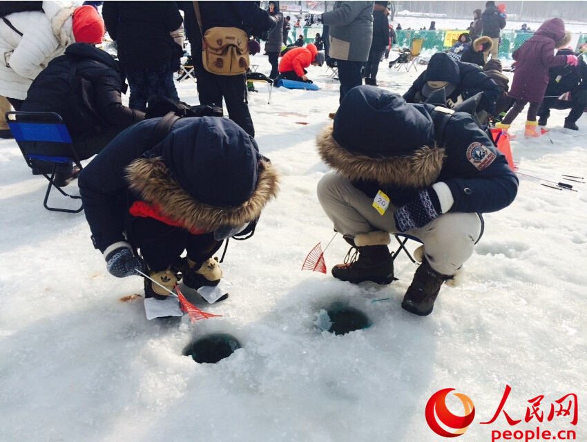 12月20日，韓國“平昌鱒魚節(jié)”在江原道平昌郡開幕。（攝影：張藝瑟）