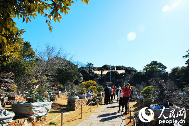 春節(jié)赴韓旅游好去處——統(tǒng)營(yíng)長(zhǎng)蛇島海上公園【高清組圖】