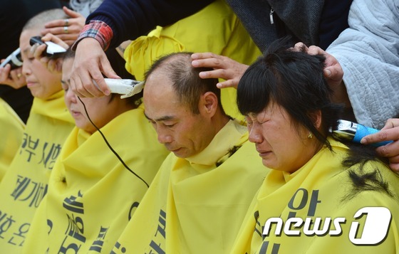 “世越號”遇難者家屬集體剃發(fā) 要求用真相祭奠逝者【高清組圖】