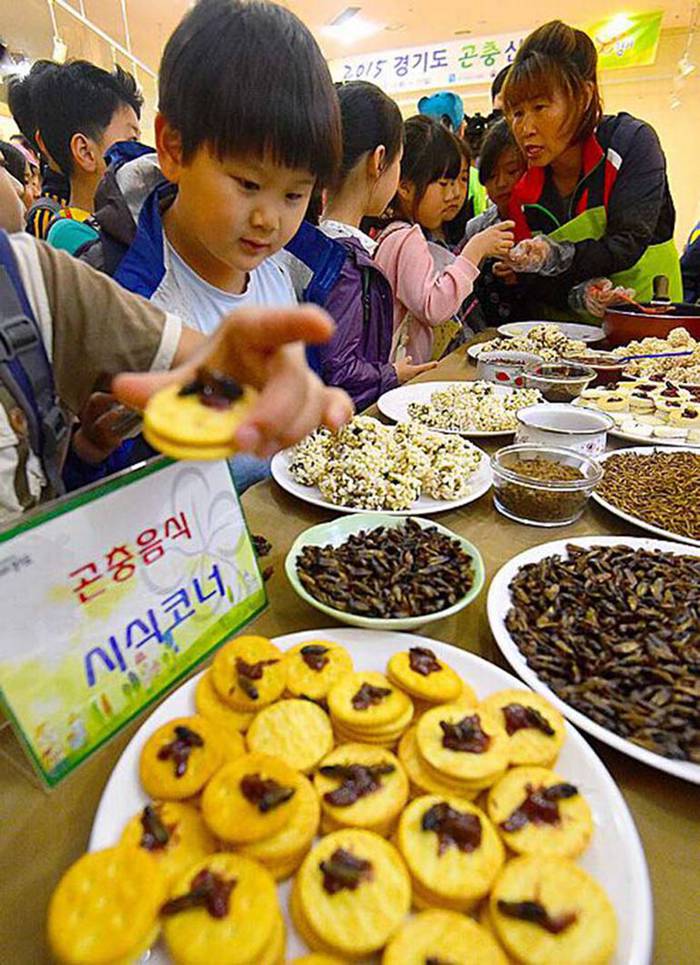 韓國重口味“昆蟲曲奇”展吸引好奇民眾 用昆蟲制成（組圖）