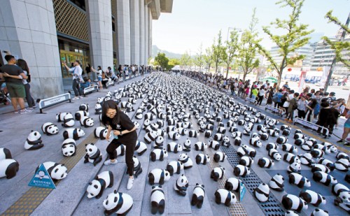 1800只紙熊貓開始韓國之旅 宣傳保護(hù)野生動物
