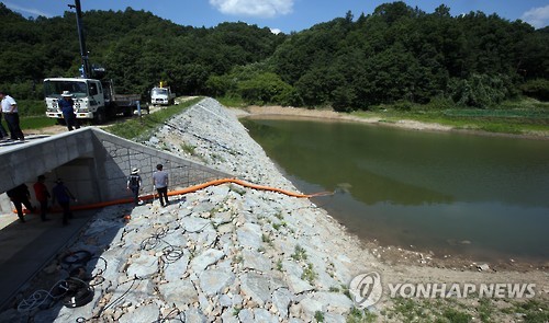 韓國(guó)江原道某水庫(kù)驚現(xiàn)亞馬遜食人魚 【組圖】
