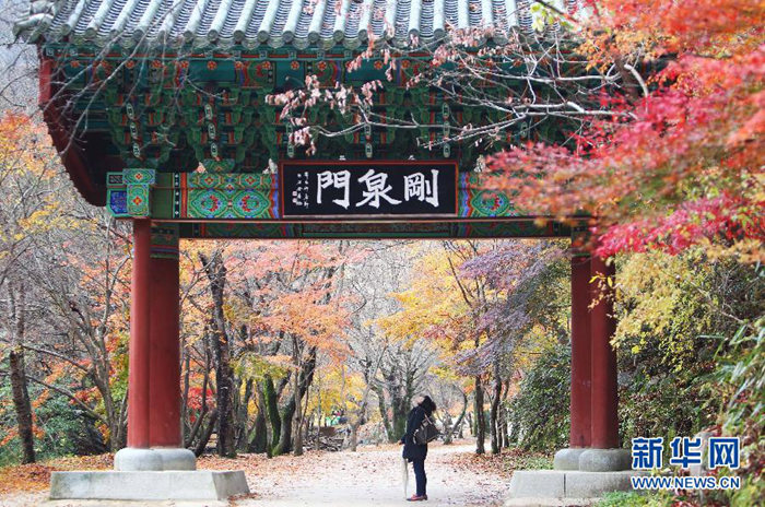 　　這是2012年11月6日，一名游客在韓國(guó)全羅北道的剛?cè)叫蕾p楓葉美景。全羅北道位于韓國(guó)西南部，是韓國(guó)的旅游勝地。時(shí)值深秋，全羅北道各地層林盡染，秋意濃郁，吸引著游客慕名前來(lái)。新華社記者姚琪琳攝