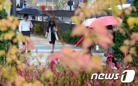 韓國首爾地區(qū)迎來秋雨 楓葉美景秋意更濃【組圖】