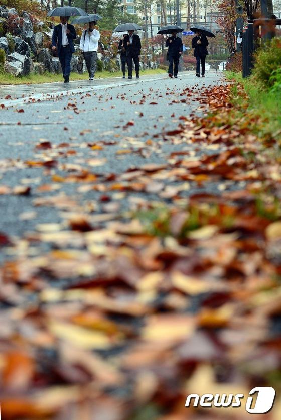 韓國首爾地區(qū)迎來秋雨 楓葉美景秋意更濃【組圖】