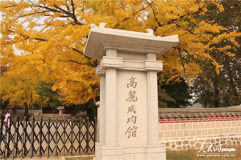 高麗時(shí)期的儒教教育機(jī)關(guān)——高麗成均館，2013年被列為世界歷史遺產(chǎn)名錄，院中生長(zhǎng)的銀杏和櫸樹樹齡達(dá)千年以上。