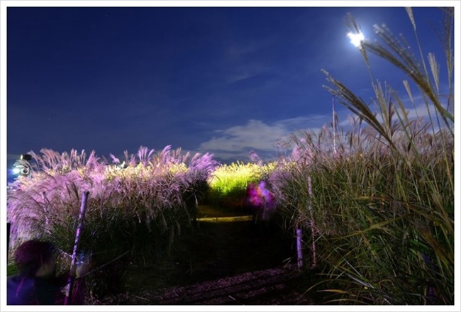 “首爾10大最美夜景地”揭曉 光化門(mén)廣場(chǎng)入選【組圖】