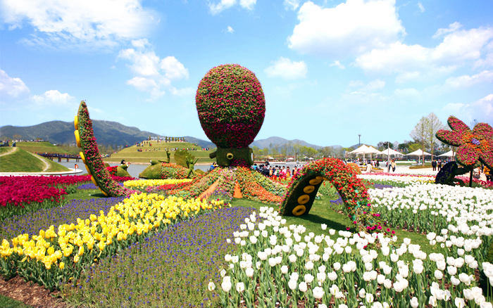 2013年，順天曾舉辦“順天灣國(guó)際園藝博覽會(huì)”。（圖片來(lái)自網(wǎng)絡(luò)）