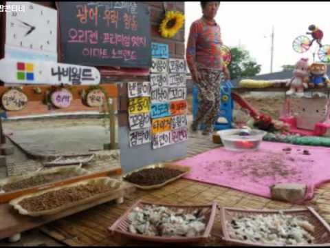 韓流浪貓“表演”吃東西 上萬網民守屏等現(xiàn)身（組圖）