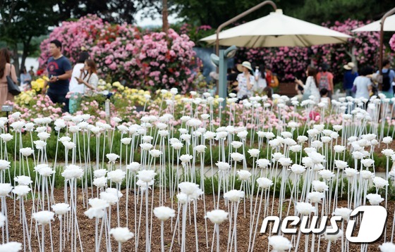 首爾大公園舉辦玫瑰節(jié)慶典 顯忠日假期感受玫瑰浪漫情懷【組圖】