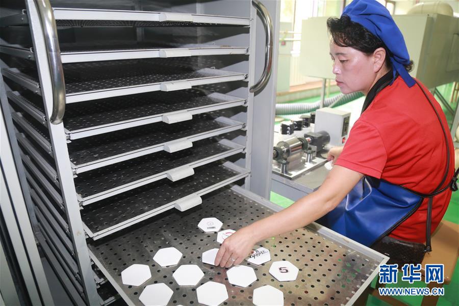 駐朝鮮使團(tuán)和國際機構(gòu)代表參觀平壤體育器材工廠和金杯體育人綜合食品廠（圖）