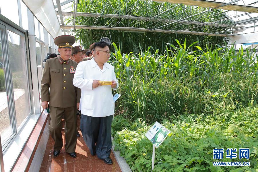 金正恩視察朝鮮人民軍第810部隊(duì)所屬1116號(hào)農(nóng)場(chǎng)（組圖）