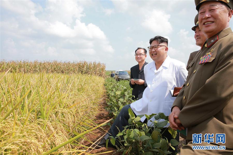 金正恩視察朝鮮人民軍第810部隊(duì)所屬1116號(hào)農(nóng)場(chǎng)（組圖）