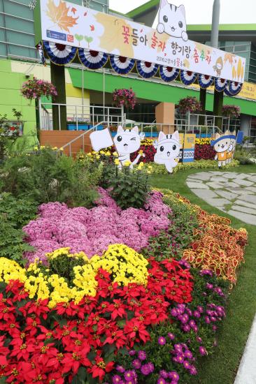 “高陽秋季鮮花慶典”開幕 百余種鮮花爭奇斗艷（組圖）
