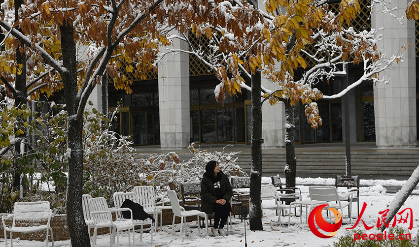 11月27日，市民在雪中拍照。人民網(wǎng) 李帆攝