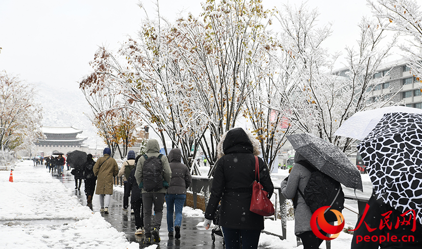 11月27日，市民走在積雪覆蓋的韓國(guó)首爾光化門廣場(chǎng)。人民網(wǎng) 柳美鉉攝