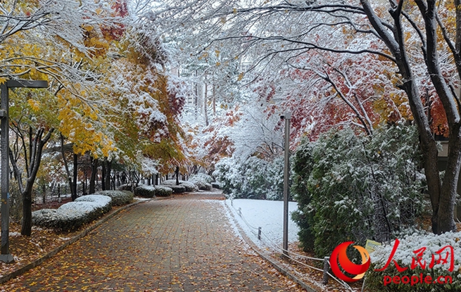 【組圖】韓國(guó)迎來(lái)今冬首場(chǎng)降雪
