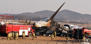韓國(guó)客機(jī)事故遇難者DNA已全部采集