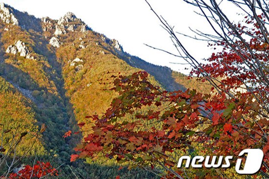 圖為層林盡染的雪岳山。圖片來源：韓國NEWS1