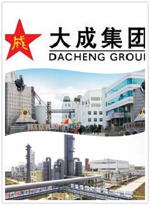 圖為長(zhǎng)春大成集團(tuán)工廠圖