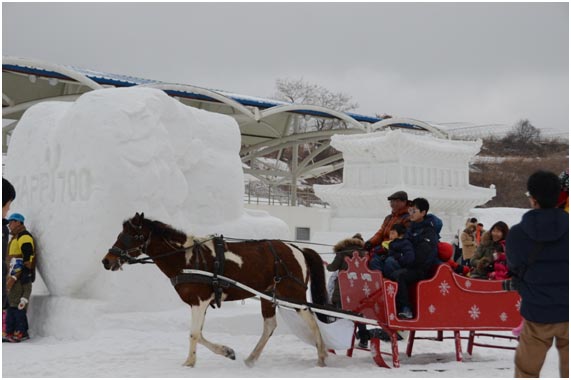 在雪花節(jié)現(xiàn)場(chǎng)盡情體驗(yàn)雪原馬車。不僅是孩子，也將大人們帶回了童年。