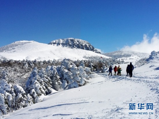 2月15日，登山者攀登韓國漢拿山御里牧線的四燕小山。新華社記者彭茜攝。